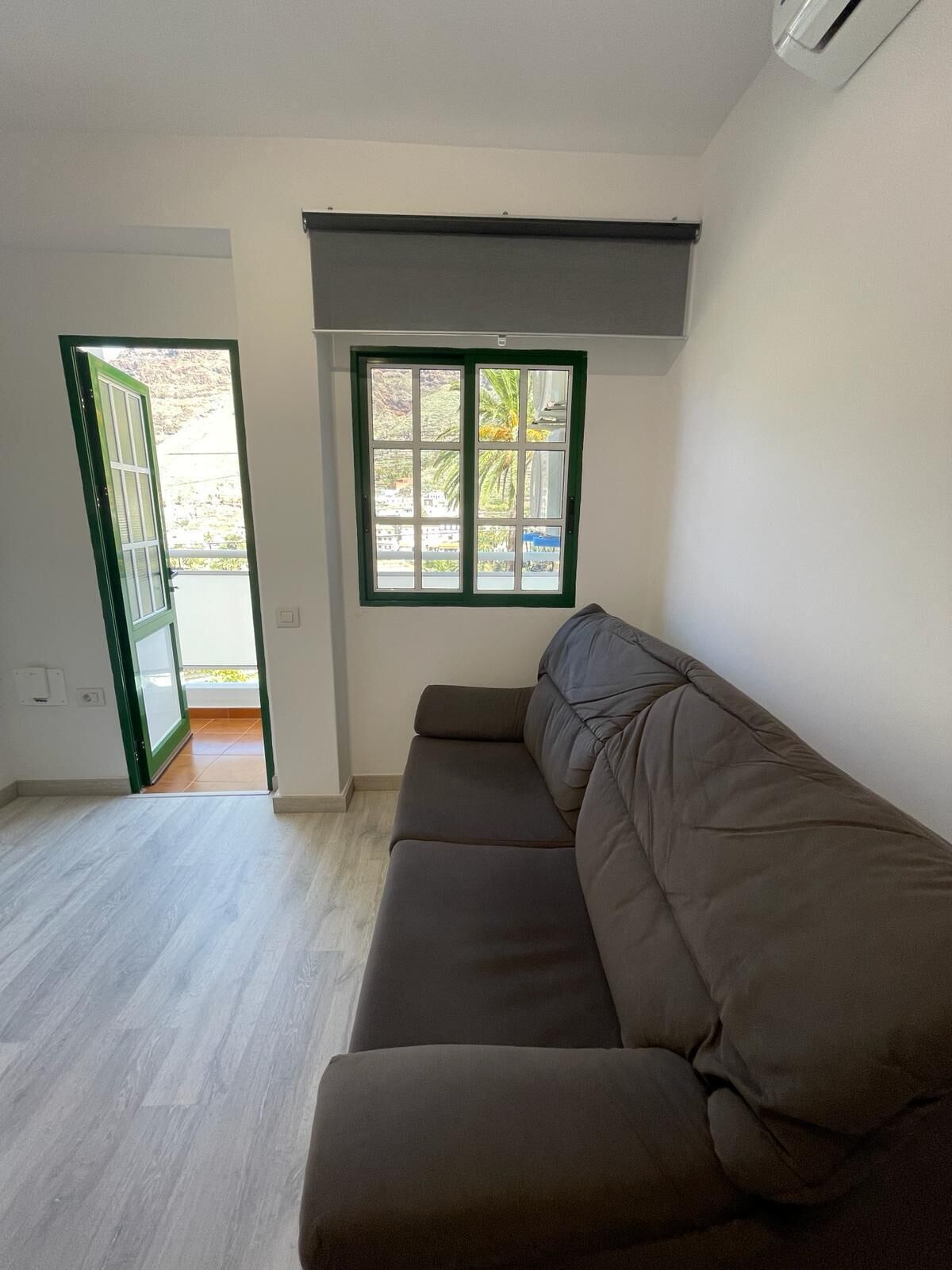 A room with a brown sofa, a window with a view of greenery, and a door leading outside.