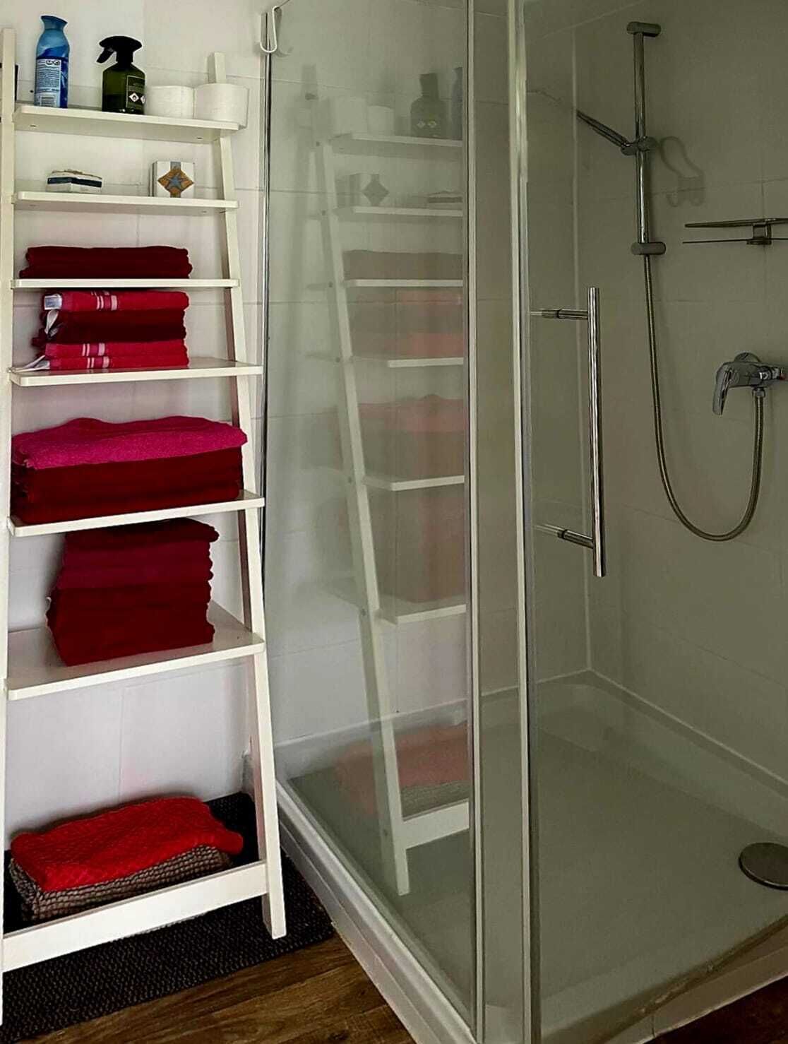 A bathroom with a glass shower enclosure, a white towel rack with red towels, and a shelf with cleaning supplies.