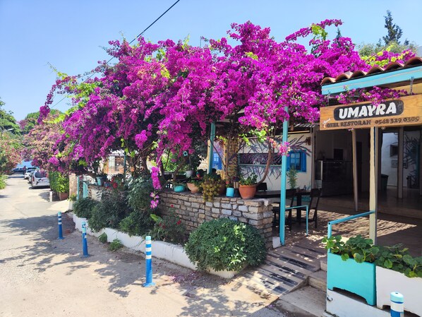 المنشأة من الخارج