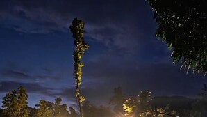 Une vue nocturne d’un parc avec des allées et des arbres illuminés.