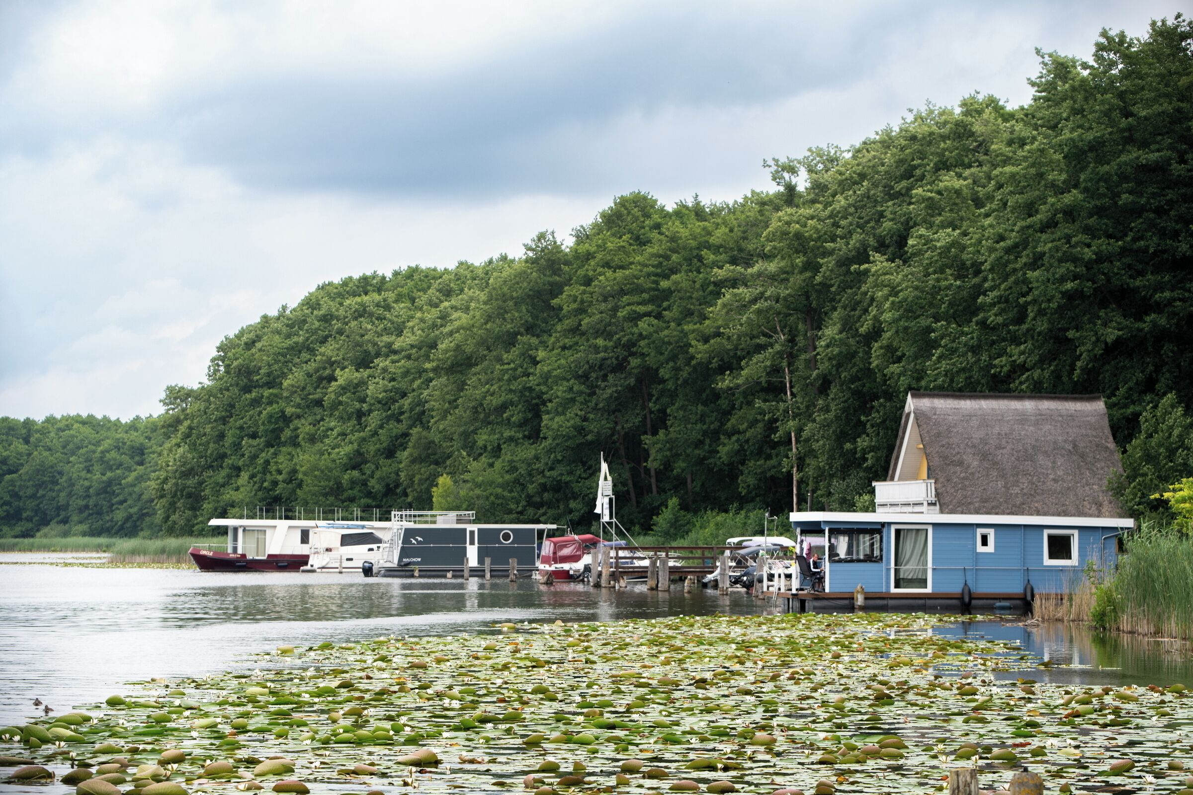 A lakeside house with a dock, surrounded by dense forest.