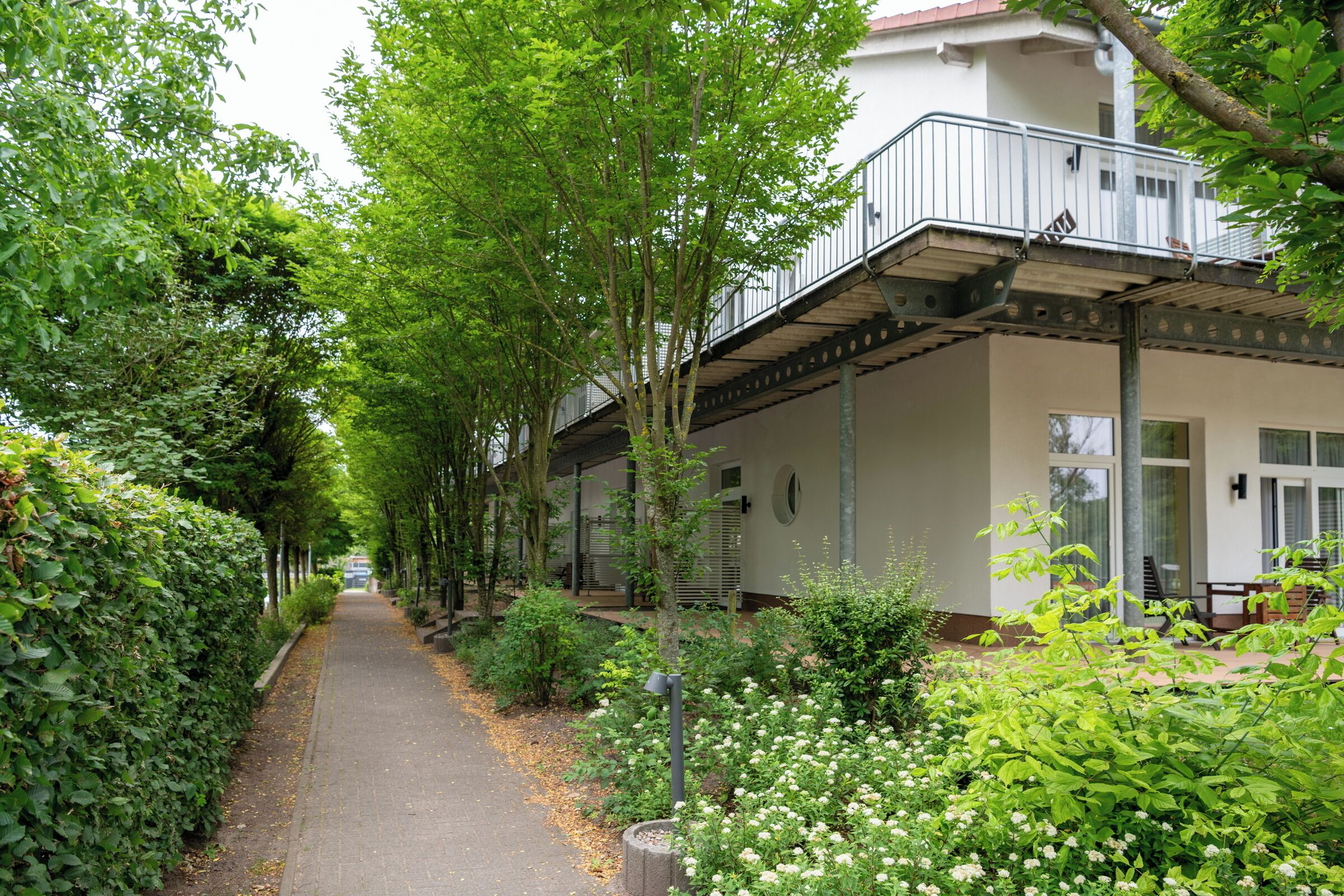 Un sentier bordé d’une végétation luxuriante et de fleurs blanches, qui mène à un bâtiment doté d’un balcon et d’une véranda.