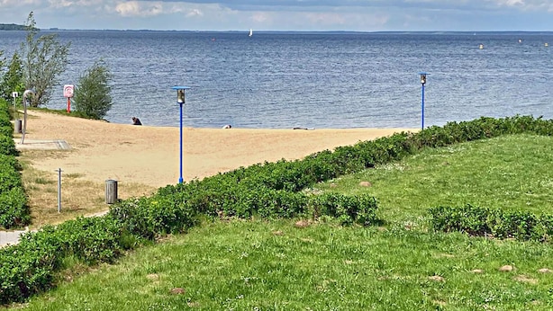 A beach with a sandy shore, a grassy area, and a body of water in the background. - Mitteldeck 464 - Gemütliches Ferienapartment mit Blick auf die Müritz (Rechlin-Nord)