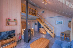 تلفزيون، مدفأة