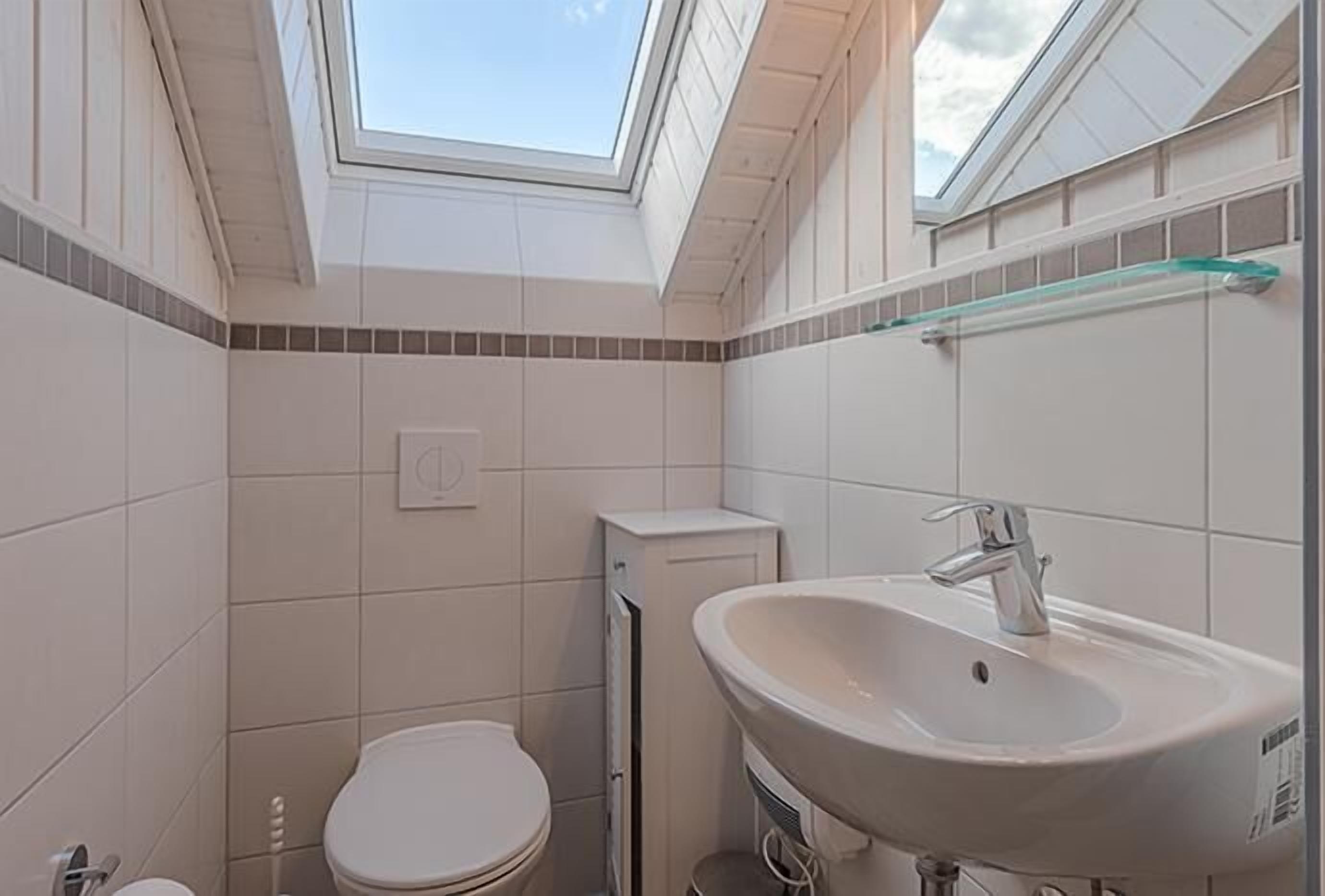 A bathroom with a skylight, a toilet, a sink, and a mirror.