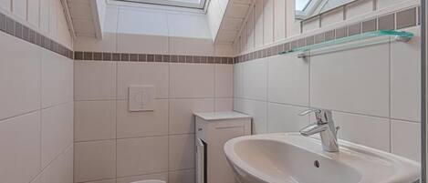 A bathroom with a skylight, a toilet, a sink, and a mirror.