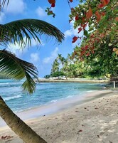 Uma praia com águas azul-claras, palmeiras e um areal.