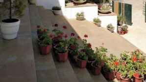 Un jardín con plantas diversas en macetas y un sendero.