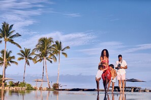 A poolside area with palm trees, a clear sky, and a person taking a photo.