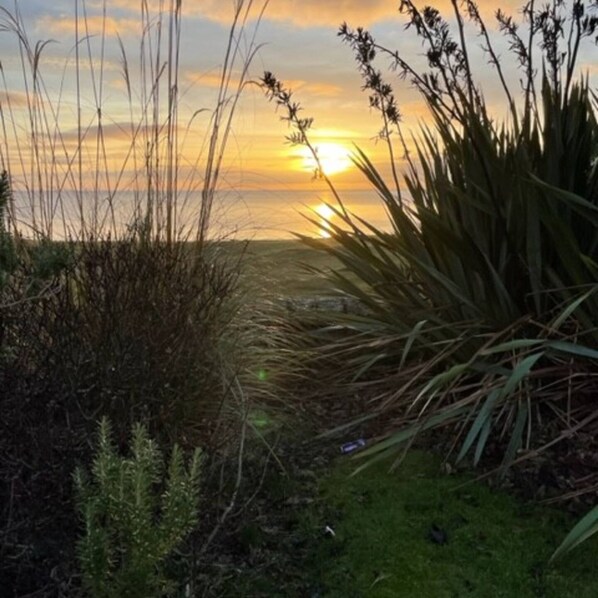 Ein Sonnenuntergang über einer grünen Landschaft mit hohem Gras und einem klaren Himmel.