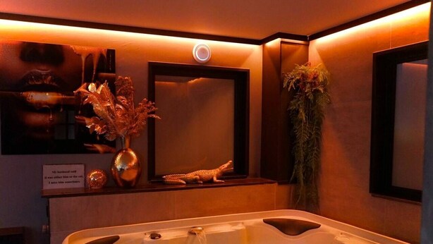 Habitació d'spa amb banyera d'hidromassatge, mirall, planta i elements decoratius.
