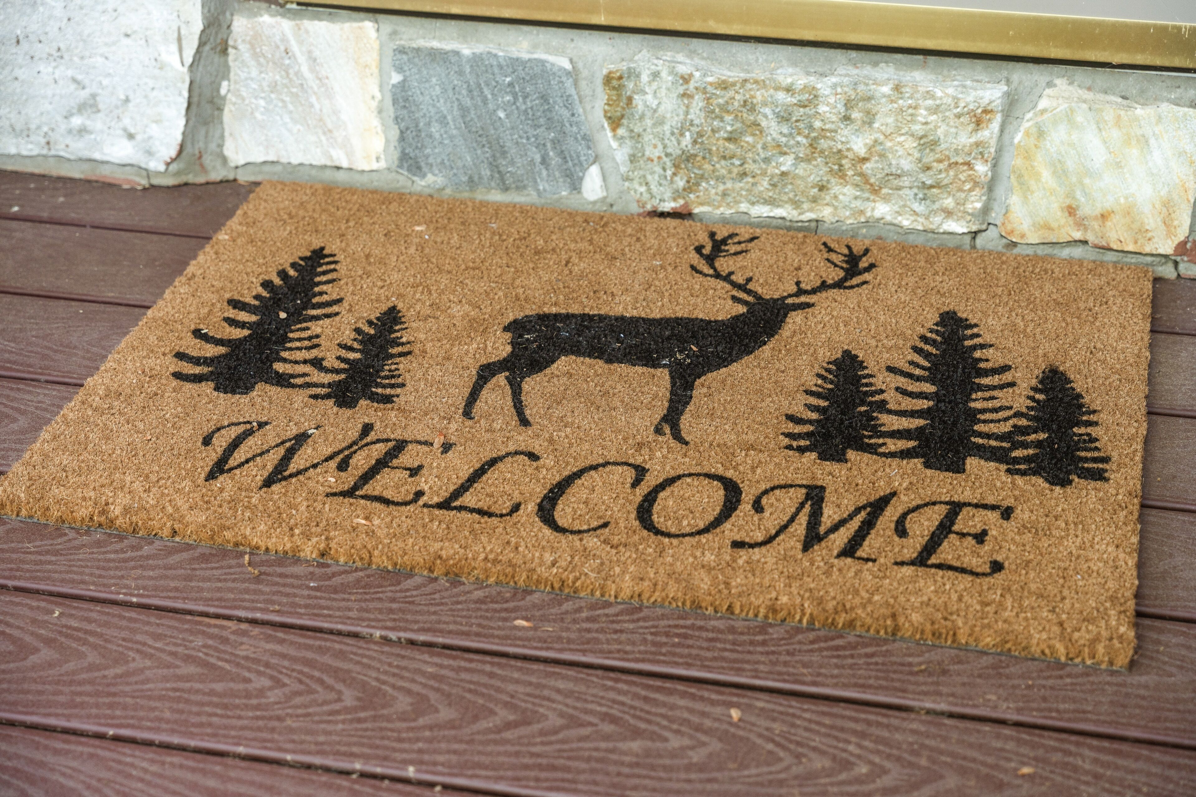 Wander through the woods at the Massanutten Resort. JMU specials! Pet-friendly
