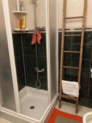 Shower, hair dryer, bidet, towels