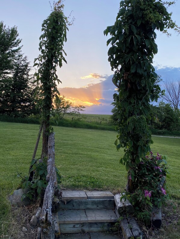 Property grounds - Little Lake Louise (Lucas)