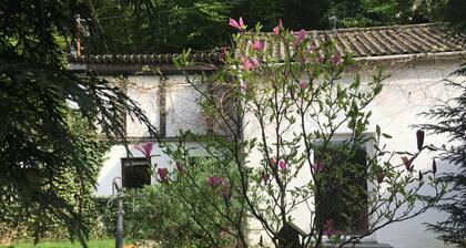 Ferienhaus Wilms - Ihr Rückzugsort in der Natur