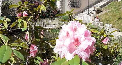 Gßte Exceptionnel Piscine Intérieure et Jacuzzi, Fitness, Billard, Pétanque !