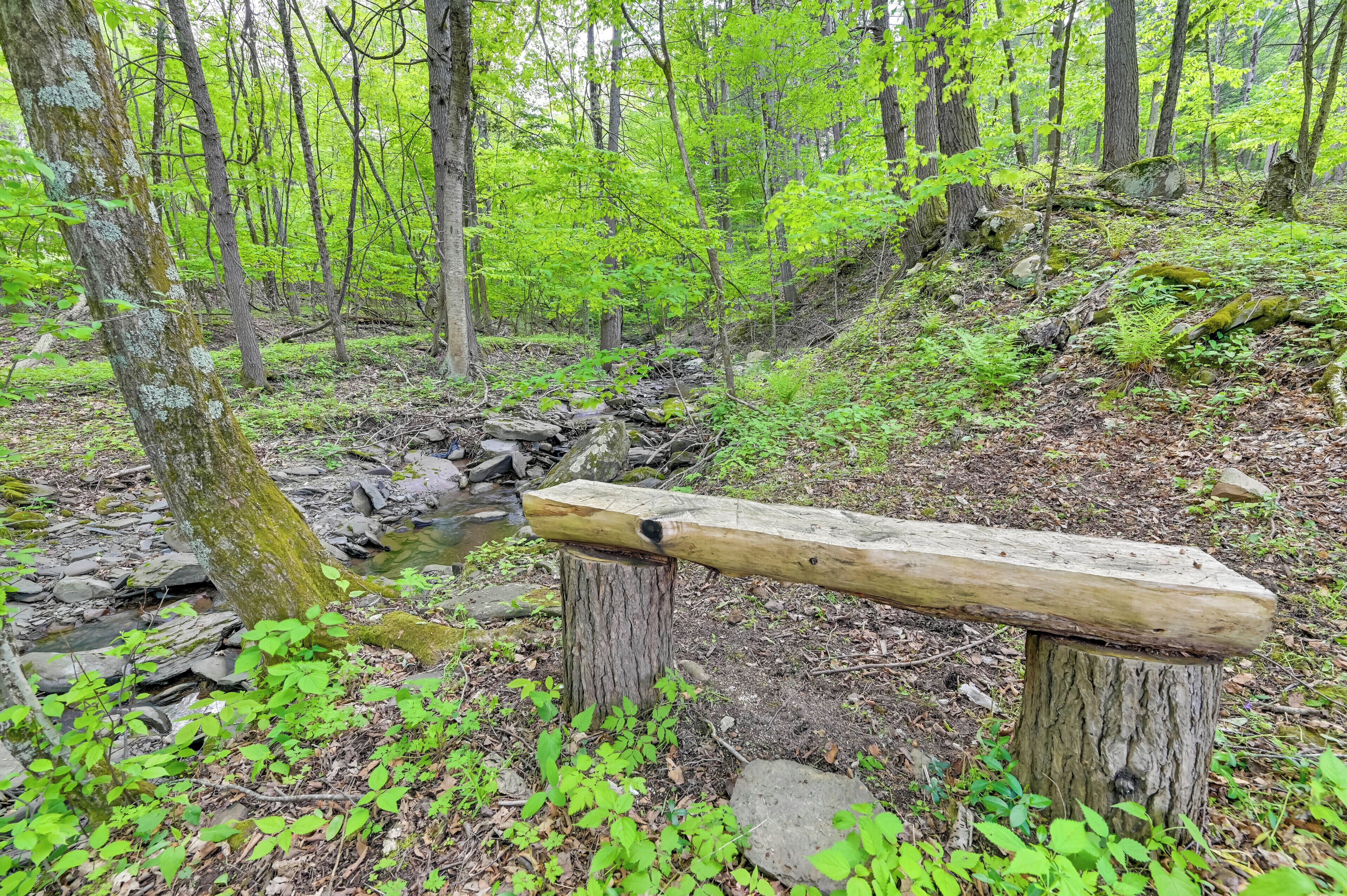 Un banco de madera en un área boscosa, con un arroyo y rocas.