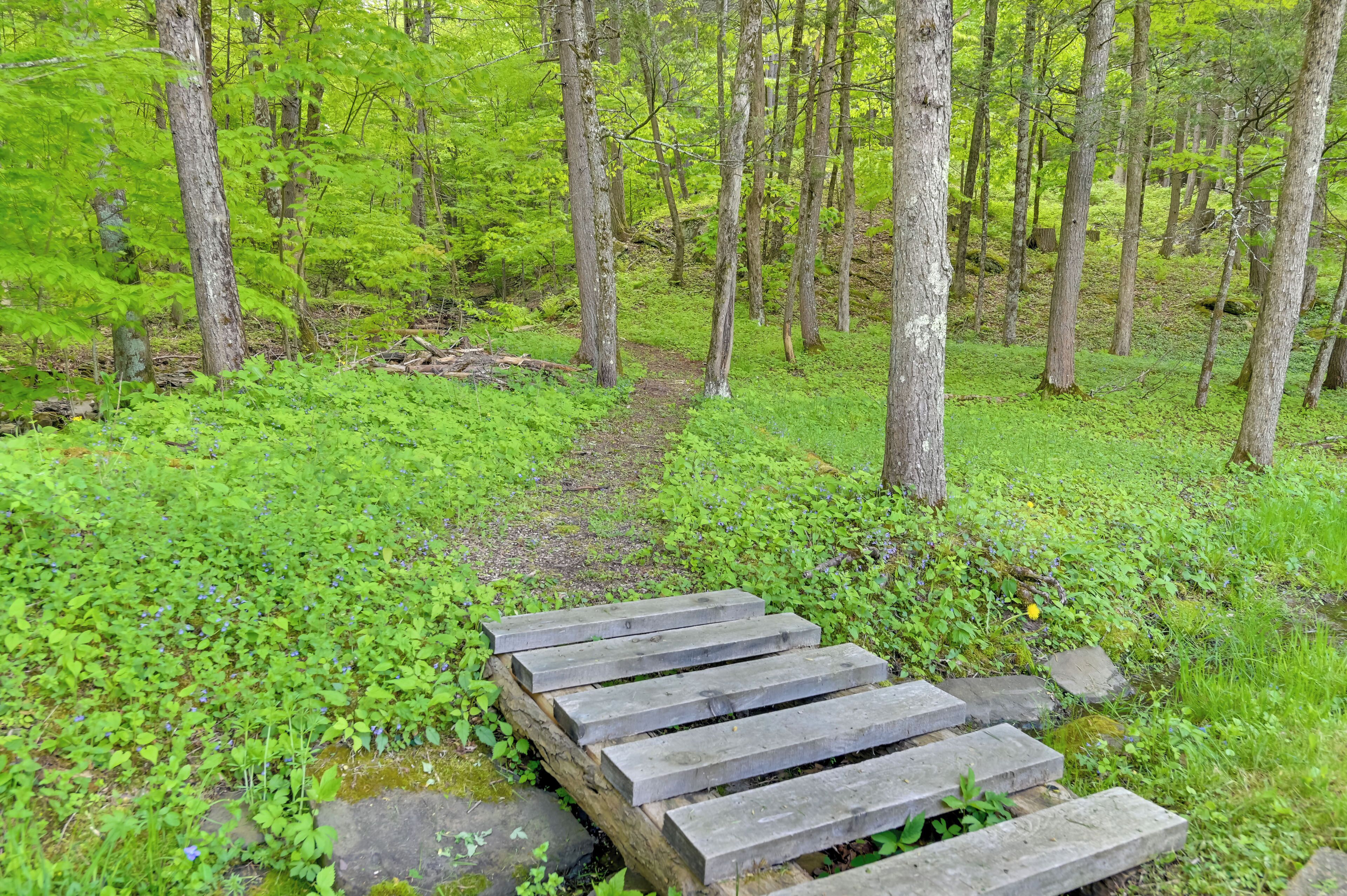 A wooden staircase leading into a forested area with green foliage and trees.