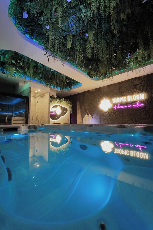 Outdoor pool, a heated pool - Tropic Bloom Spa & Cinéma
10 mn from Paris (Paris)