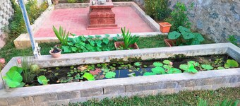 Peaceful room for a family in scenic Attapadi 15 minutes from Silent Valley