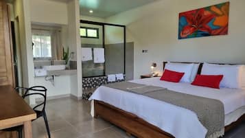 1 غرفة نوم وخزنة داخل الغرفة ومكتب ومساحة عمل للكمبيوتر المحمول