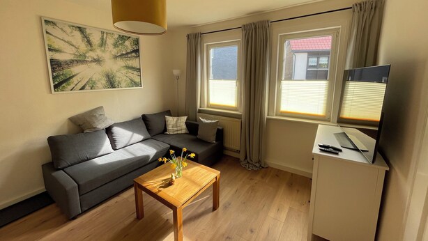 A modern living room with a grey sofa, a wooden coffee table with flowers, a pendant light, and a TV on a stand. - Ferienwohnung in Fehrenbach (Masserberg)