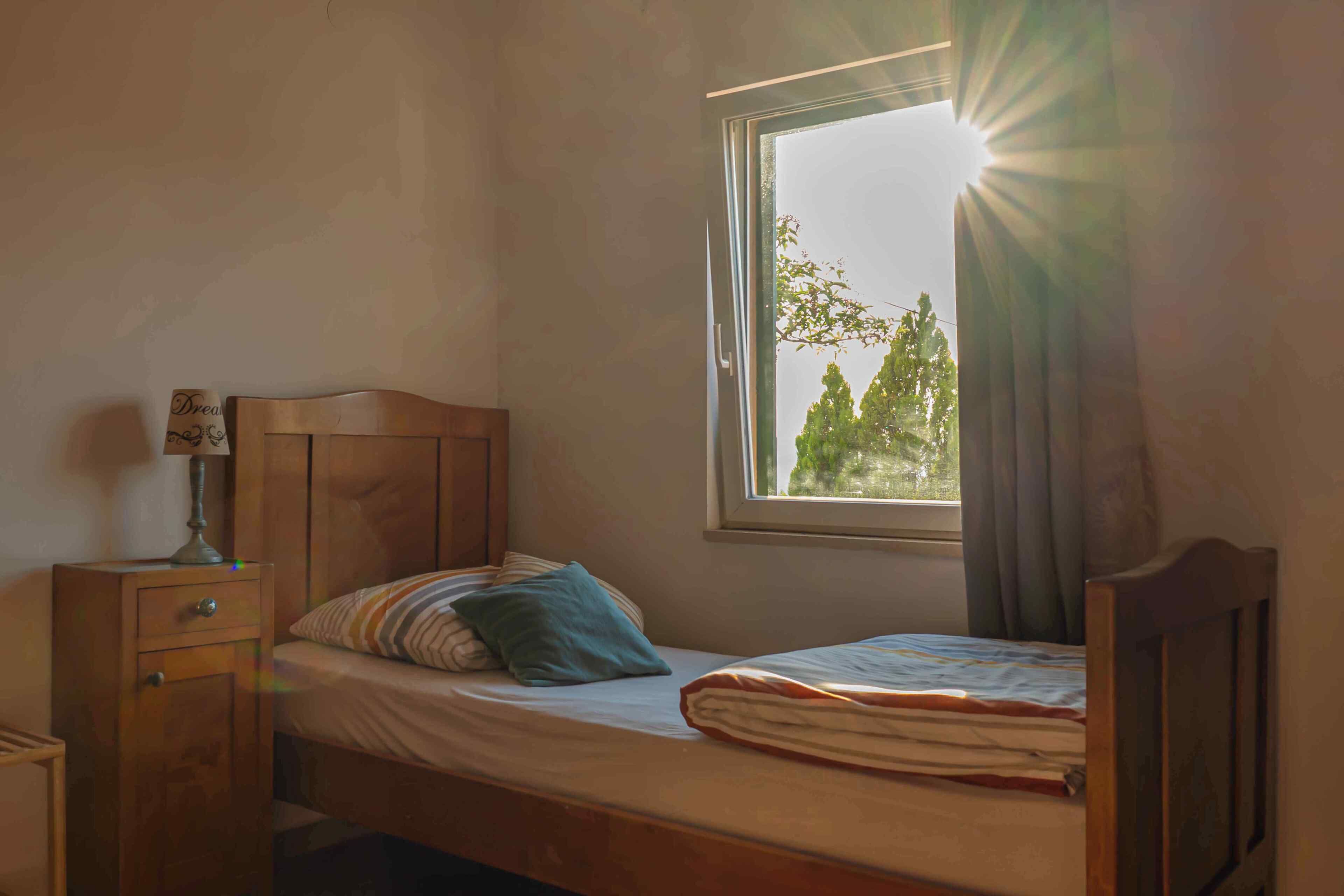 A single bed with a wooden headboard, a bedside table with a lamp, and a window with curtains.
