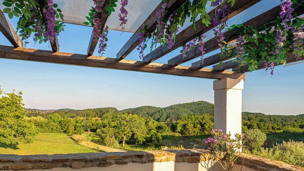 A wooden pergola with hanging purple flowers, a stone wall, and a view of green hills. - House Rea is ideal for a retreat in nature, close to the richness of Istria ! (buzet)