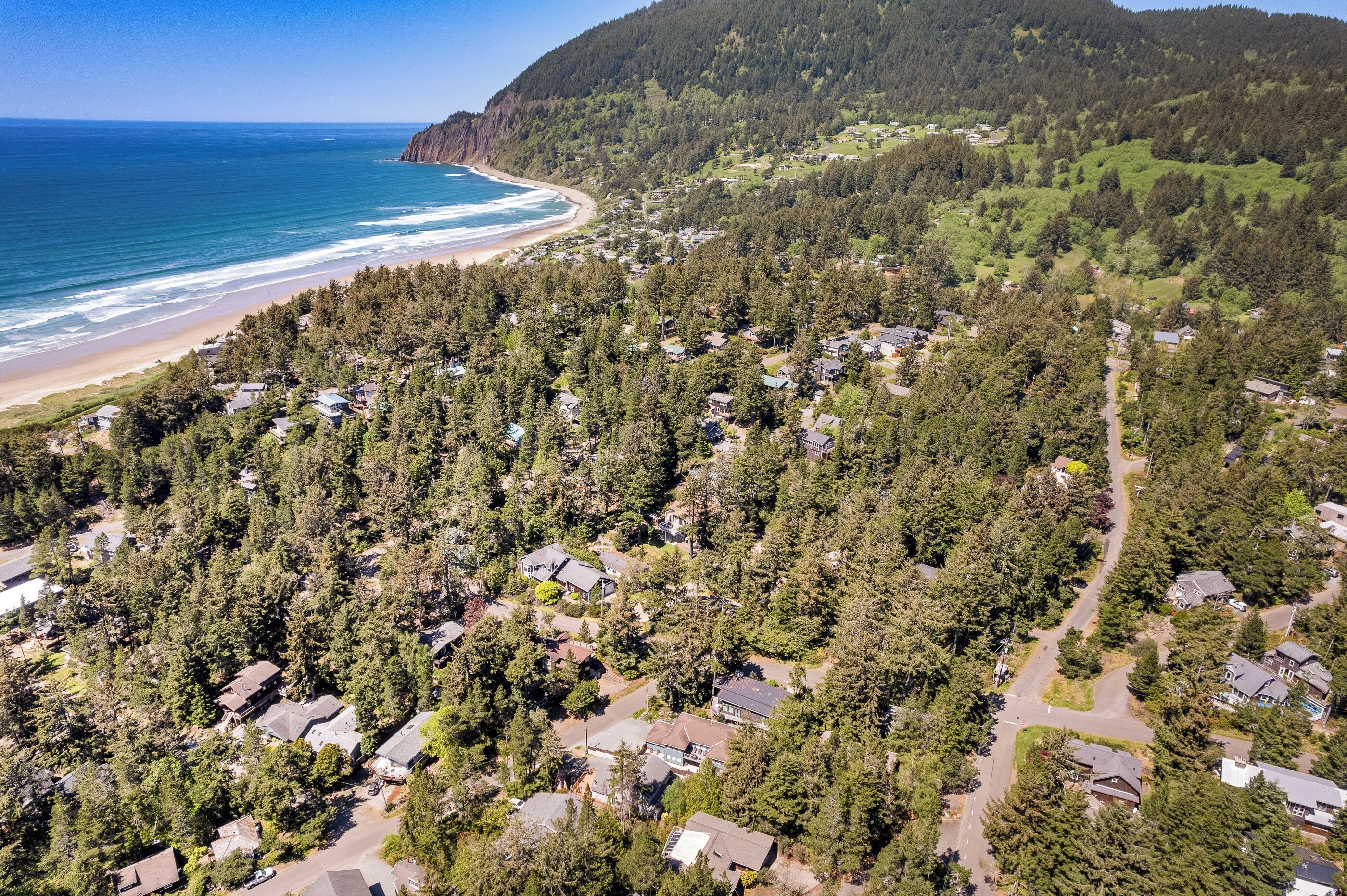 An aerial view of a residential area with houses surrounded by dense forest, a beach, and a mountain in the background.