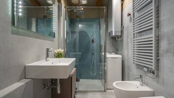 Shower, hair dryer, bidet, towels