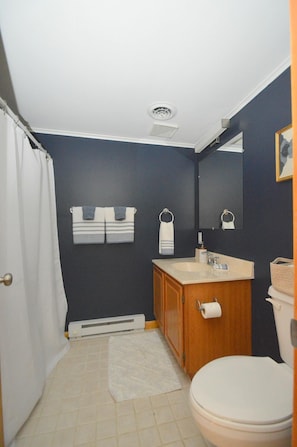 Bathroom - Bobcat 22 - The Mountains are Calling! (Berkeley Springs)