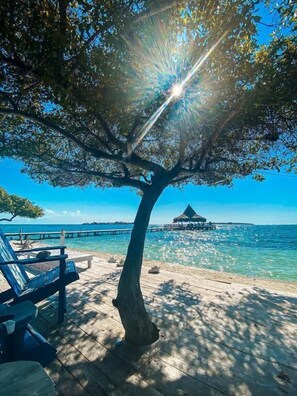 Property grounds - Hotel Tintipan (Isla Tintipán)