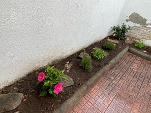 A garden bed with various plants and flowers, a brick pathway, and a white wall.