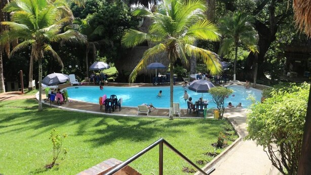 Piscina cercada por palmeiras e espreguiçadeiras.