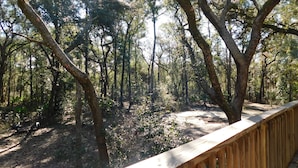 A wooden deck overlooking a forested area with dense trees and a dirt path.