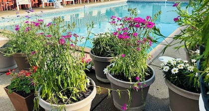 2 Queen Hotel Room near Cedar Point