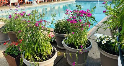 Large Pool Open Late! Hotel Room by Cedar Point