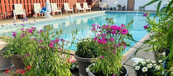 Large Pool Open Late! Hotel Room by Cedar Point