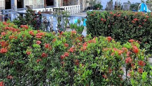 Un hotel con piscina, zona de estar al aire libre con sombrillas azules y jardín con flores rojas.