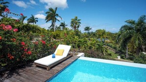 Uma área à beira da piscina com um deck de madeira, uma espreguiçadeira com travesseiro amarelo e vegetação tropical exuberante.