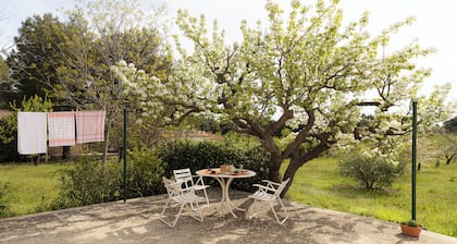 Casina al Castello: Peace and Relax in the Alta Murgia Near Castel Del Monte