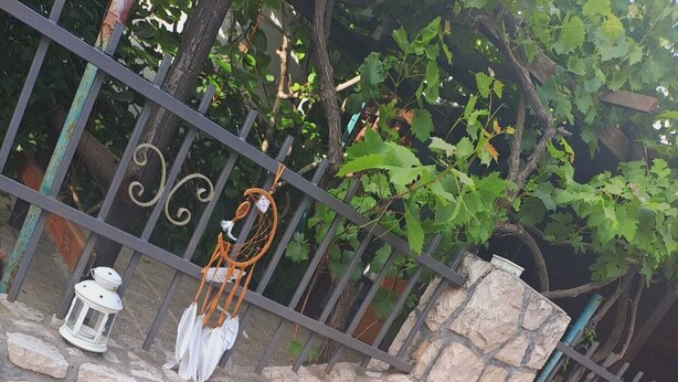 A stone wall with a decorative planter holding a plant. - Mahara Doo (Bar)
