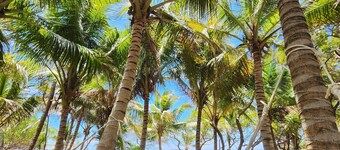 Pond Cay - Private Cay