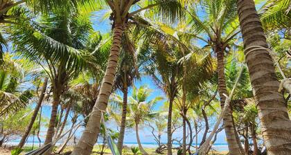 Pond Cay - Private Cay
