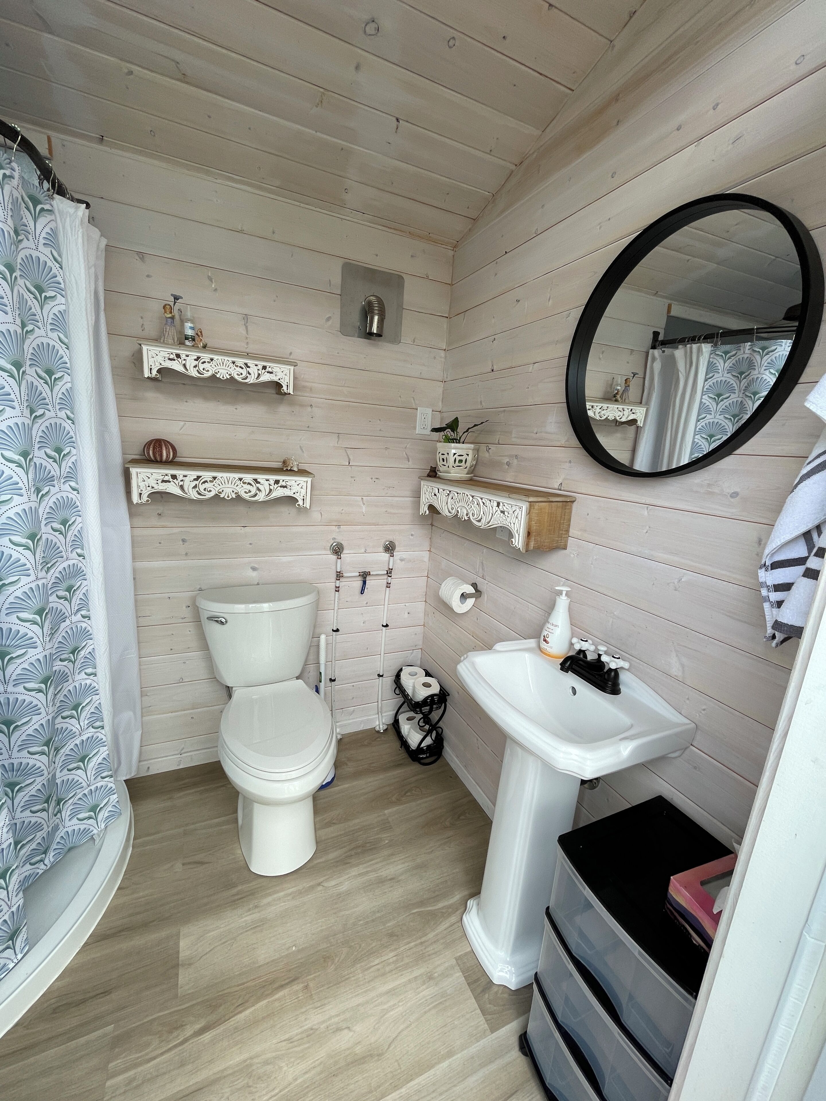 Shower, towels, toilet paper