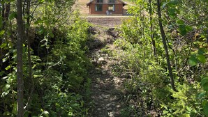 Eine Holzhütte, umgeben von dichtem Wald.