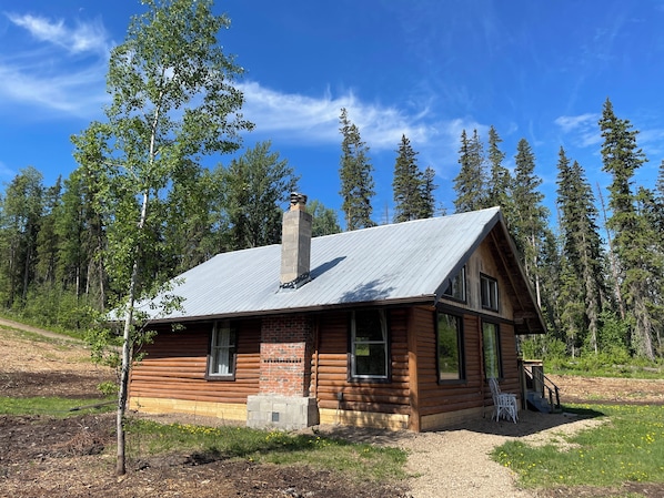 A log cabin with a metal roof, surrounded by a forest.