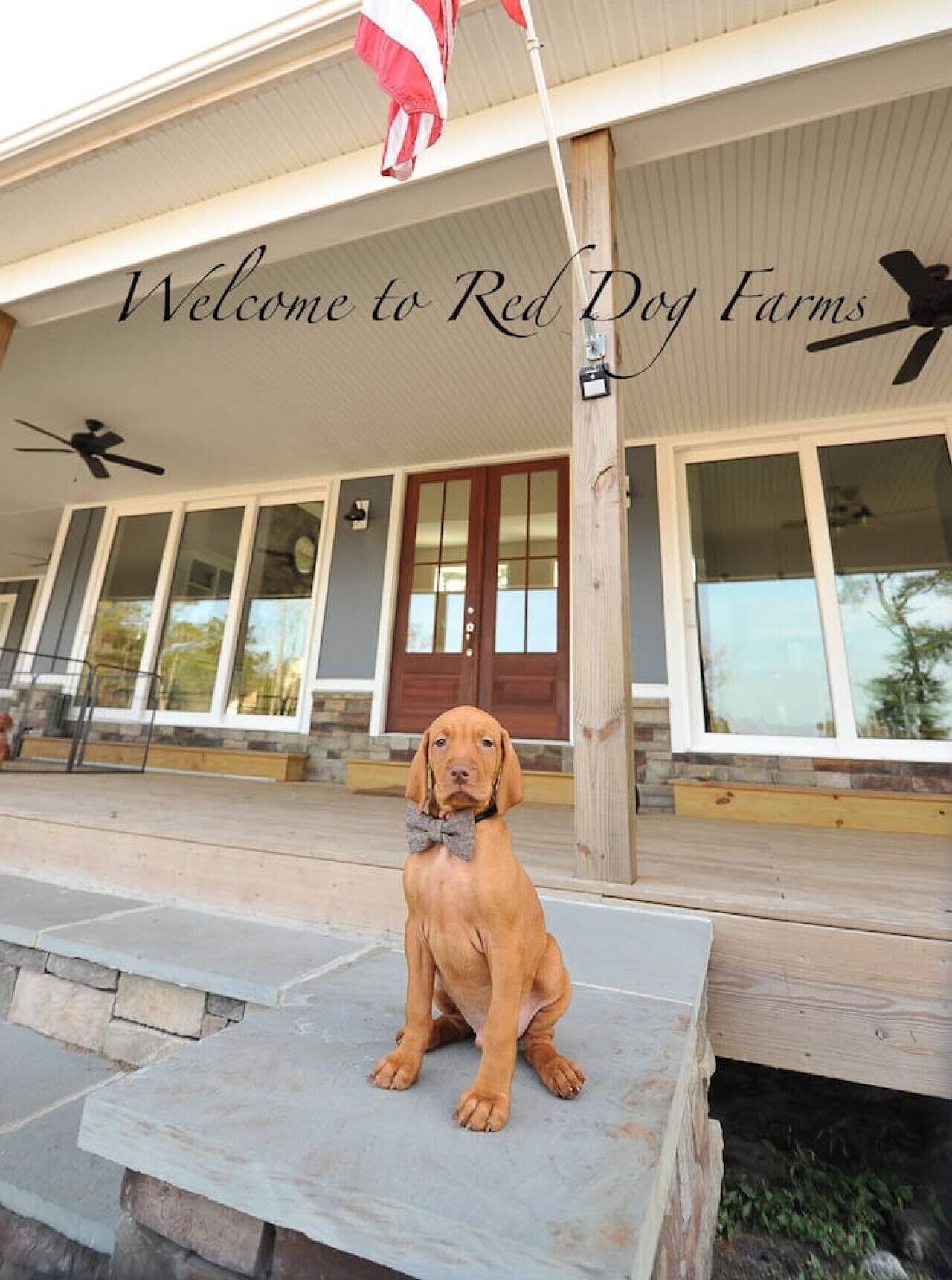 Red Dog Farms Modern Studio Apt