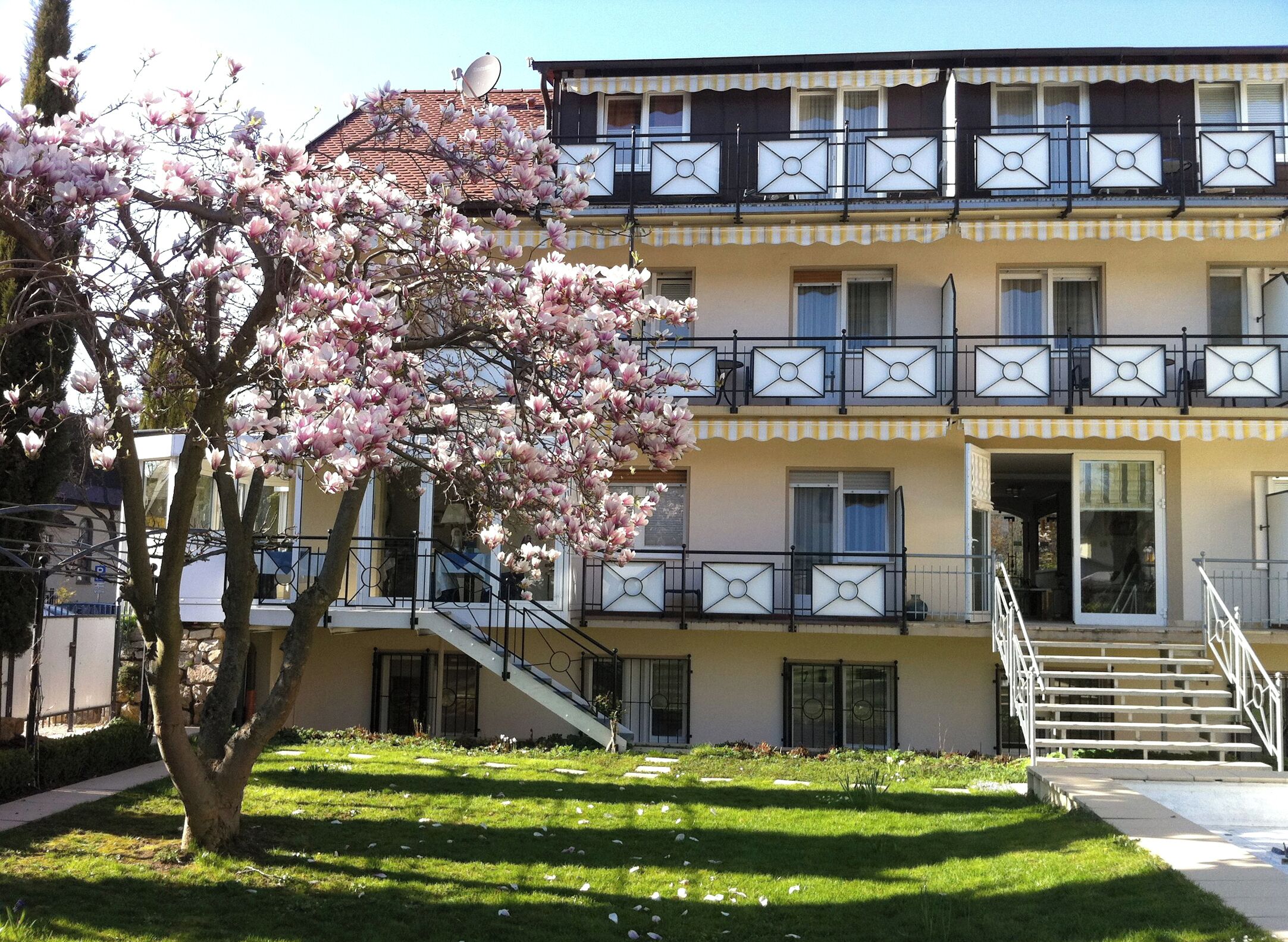Un edificio de varios pisos con balcones, una escalera y un árbol con flores rosadas.