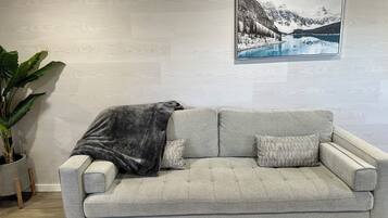 Älytelevisio, kirjoja